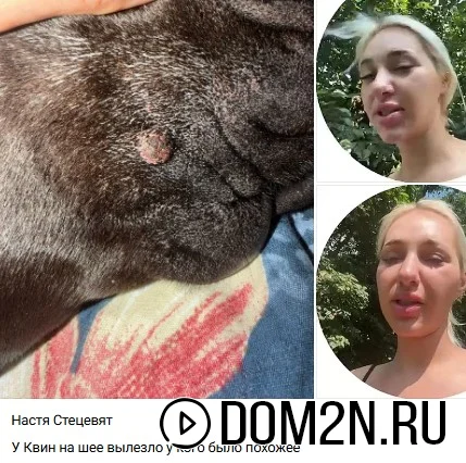 Анастасия Стецевят
